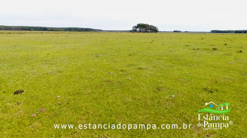 INICIO GADO TOP.00_02_34_07.Quadro036_f9a7ad107c74e1bdc55ba64a62a3c6a0509d976d.jpg